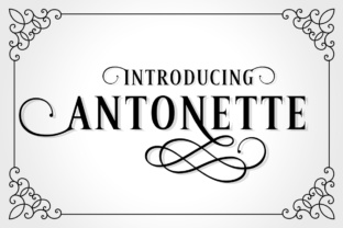 Antonette: A Font That Elevates Your Brand