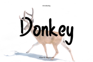 Donkey: A Playful, Approachable Display Font for Editorial Charm