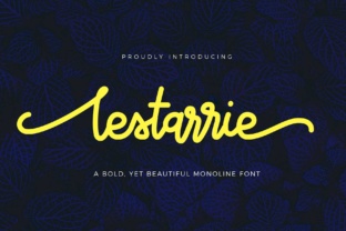 Lestarrie: A Modern Script Font That Works on the Web