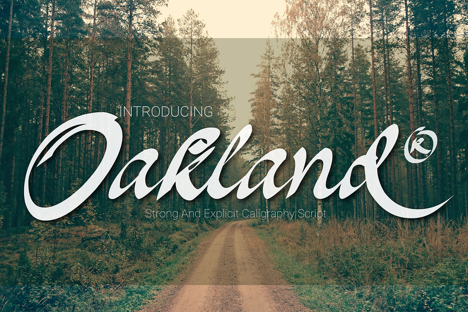 Oakland: A Painterly Calligraphy Font