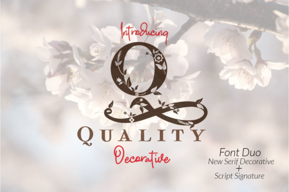 Quality: A Font That Elevates Your Brand