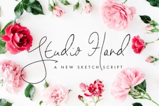 Studio Hand Font for Business